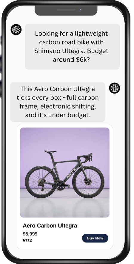 AI shopping conversation